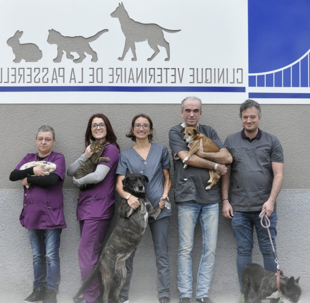 Clinique vétérinaire à Givors : Soins et services pour vos animaux de compagnie